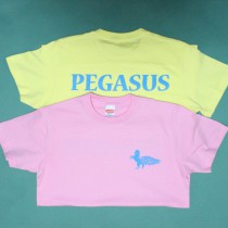 春日井市 PEGASUS -ペガサス- 制服