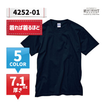 4252-01