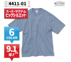 4411-01