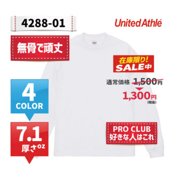 4288-01
